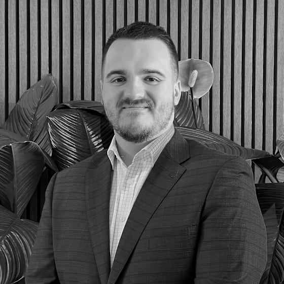 Dom Swallow Building and Design Consultant