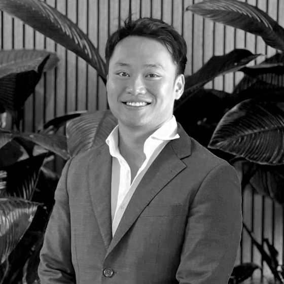 Ron Ho Building and Design Consultant