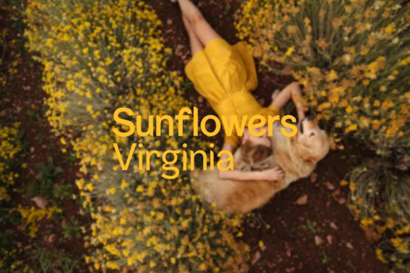 House and Land Estate - Sunflowers